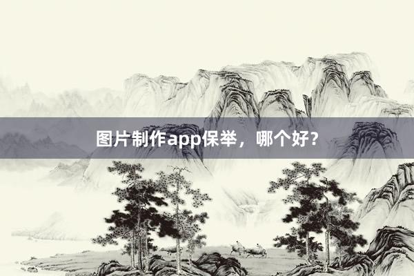 图片制作app保举，哪个好？
