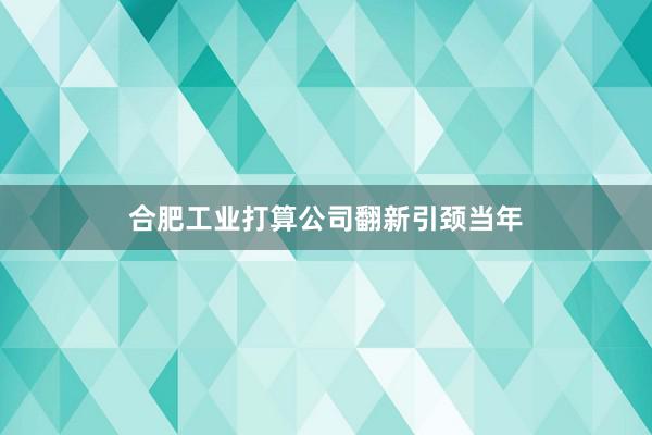 合肥工业打算公司翻新引颈当年