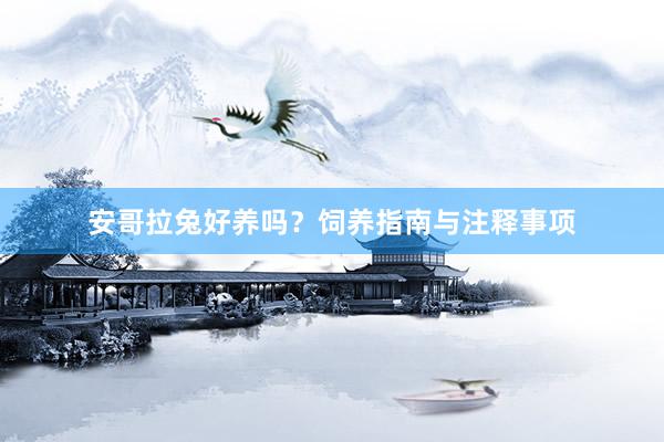 安哥拉兔好养吗？饲养指南与注释事项