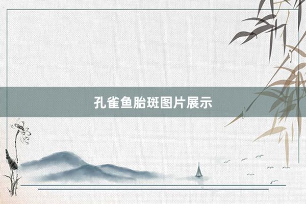 孔雀鱼胎斑图片展示